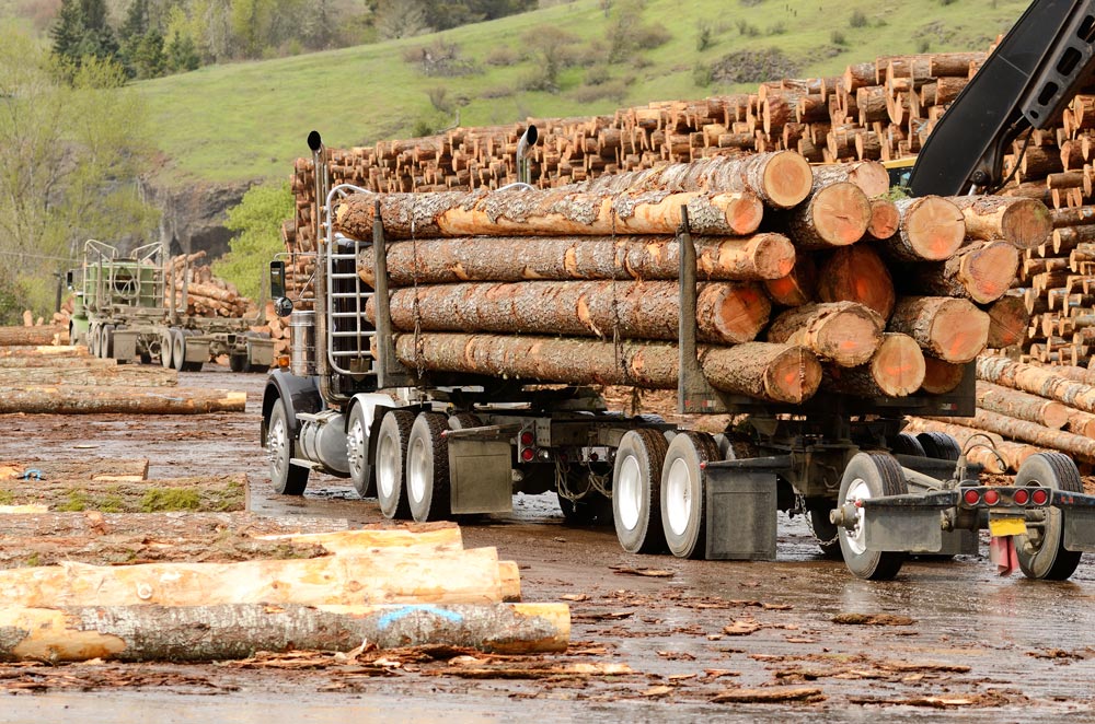 18 wheeler truck in woodyard